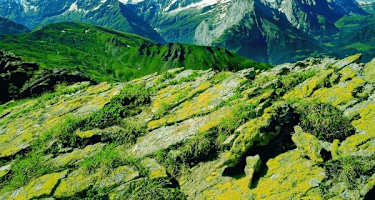 Ausblick vom Glogghüs zur Wetterhorngruppe