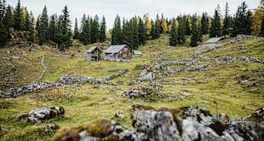 Die Schartenalm am Weg zur Goiserer Hütte