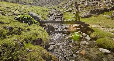 Am Weg zur Gollinghütte