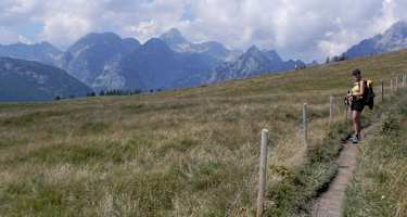 Am Weg zum Feuerpalfen
