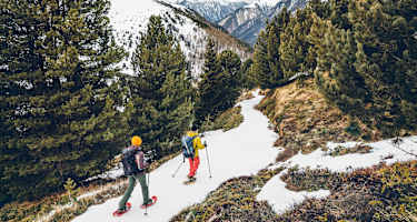 Abstieg durch den Zirbenwald