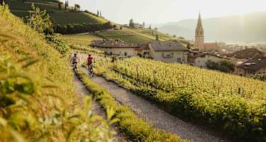 Mit dem Bike oberhalb von Tramin