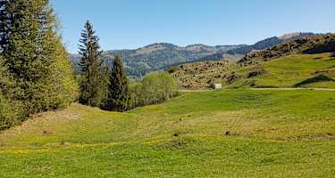 Raus aus der Nagelfluhkette Richtung Bregenzer Wald