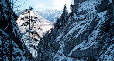 Schneebergblick im Großen Kesselgraben