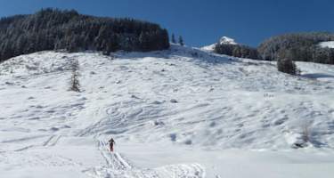 Bei genug Schnee ist dies ein super Abfahrtsgelände.