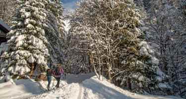 Anstieg Gsuchmauer - kurz vor der Ebnerklamm