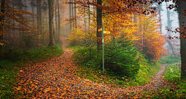 BodenseeLandGänge: GuckinsLand