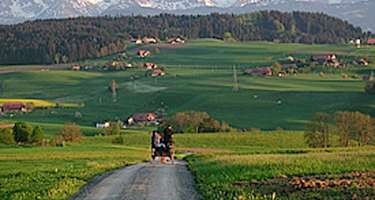 Gürbetaler Höhenweg