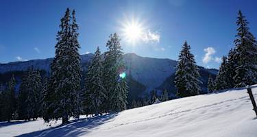 Das Gebiet rund um die Gufferthütte