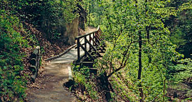 Über Holzstege und -brücken durch die romantische Hagenbachklamm.