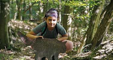 Elf dieser gut versteckten Wildkatzensilhouetten gilt es zu finden.