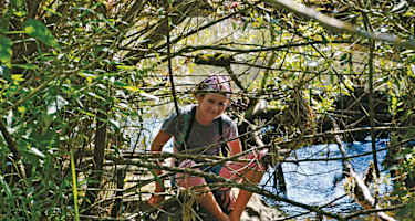 Hardegg - Wildkatzenweg und Einsiedlerwiese mit Hennerweg 