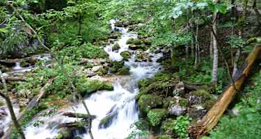 Im Harteslgraben im Nationalpark Gesäuse