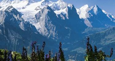 Hasliberg Reuti - Innertkirchen