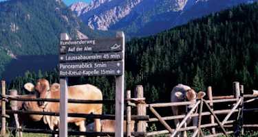 Rundwanderweg „Auf der Alm“