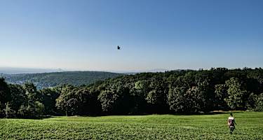 Die Wanderung zum Hermannskogel wird mit einer schönen Aussicht auf Wien belohnt.