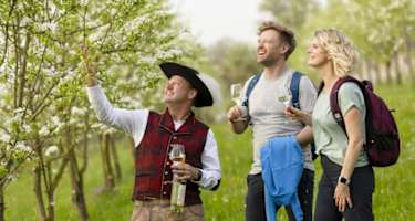 Herz des Mostviertel