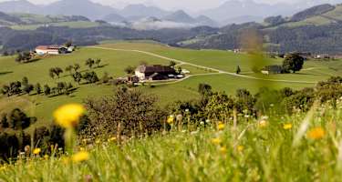 Herz des Mostviertel