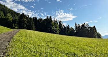 Auf dem Weg zu den Hittisbergalpen