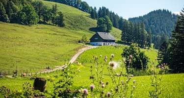 Auf dem Weg zur wunderschön gelegenen Hocherbalm