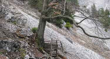 Jägerstand am Zustieg