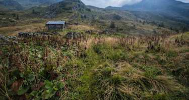 Anstieg zur Hochwildstelle