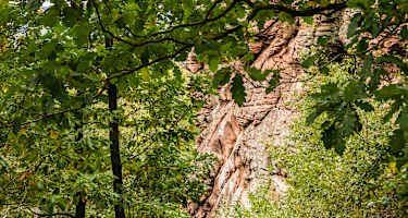 Auf dem Rimbachsteig
