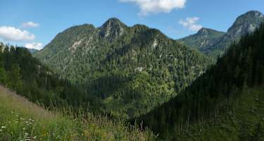 Auf dem Höhenweg Wildalpen –&nbsp;Hinterwildalpen