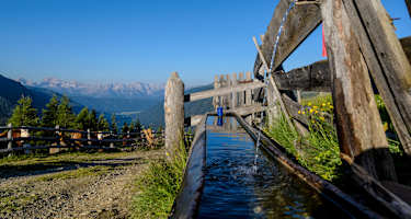 Hörneggele und Almweg 2000