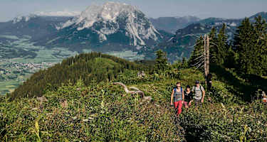 Von der Hohen Trett genießt man einen besonders guten Blick auf den Grimming.