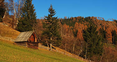 Herbststimmung am Hollerbergweg