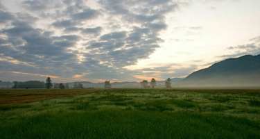 Blick ins Bergener Moos