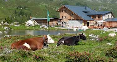 Lizumer Hütte, 2.019 m