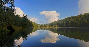 inzell sommer frillensee panorama