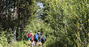 Üppige Vegetation begleitet die Ufer der Isel. 