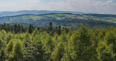 Ausblick vom Raabeturm