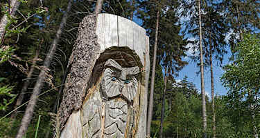 Auf dem Ith-Hills-Weg