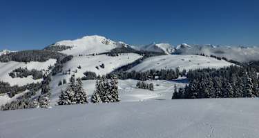 Winterandschaft am Rundweg Jaunpass - Oberenegg