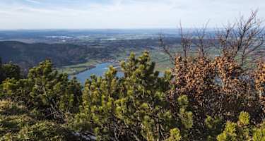 Vom Jochberg blicken wir hinunter zum Kochelsee