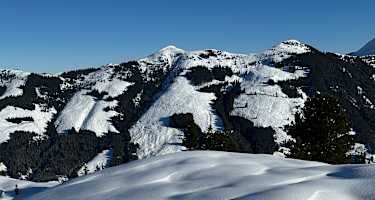 Blick auf Joel- und Saupanzen