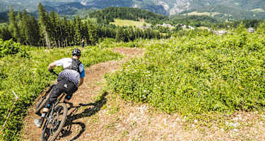 Singletrail am Josiberg