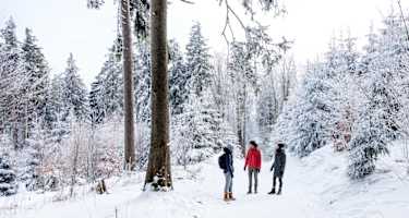 Wanderung zum Kickelhahn