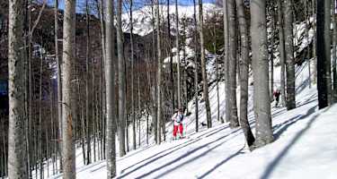 Aufstieg im schönen Hochwald