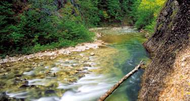 Kalkalpenweg - Etappe 3: Von der Anlaufalm auf die Ebenforstalm