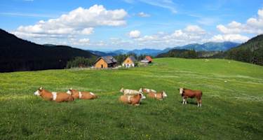 Herrliches Panorama bei der Ebenforstalm