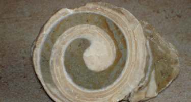 Kalkalpenweg - Etappe 5 :Von Windischgarsten auf die Gowilalm