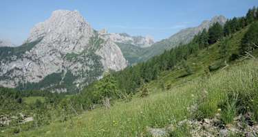 Am Karnischen Höhenweg