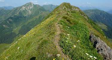 Am Karnischen Höhenweg