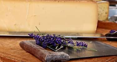 Köstlicher Käse auf der Sennerei Schweizerhütte