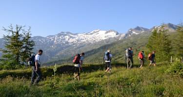 Blick zum Keeskogel oberhalb der Aschlreitalm